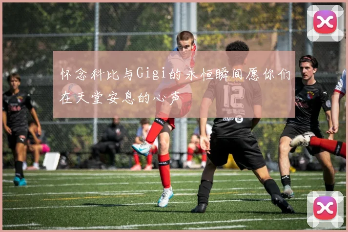 怀念科比与Gigi的永恒瞬间愿你们在天堂安息的心声